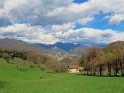 In Canto Alto da Cler di Sedrina-2apr24  - FOTOGALLERY